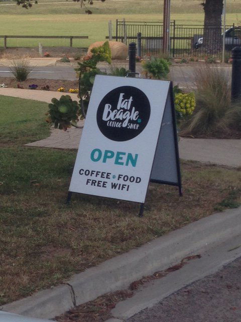 Fat Beagle Coffee Shop - Internet Find 3