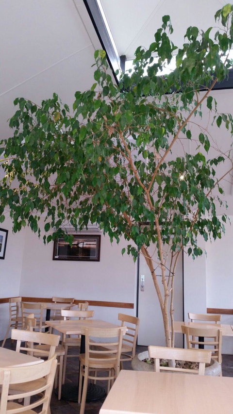 Lobethal Bakery - Internet Find 2