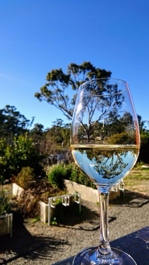 Mocandunda Cellar Door And Restaurant - Internet Find 3