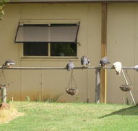 Sandy Grove - Internet Find