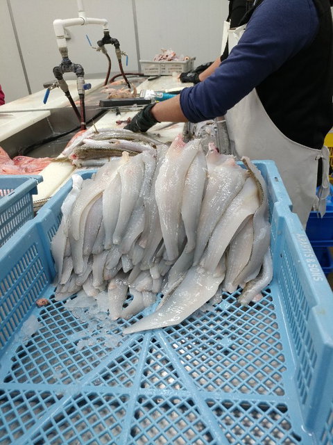 The Fresh Fish Place - Factory Direct Seafood - Internet Find 4