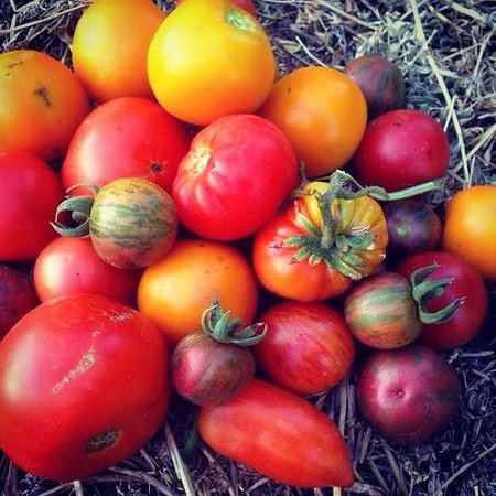 The Seasonal Garden Cafe - Internet Find 0