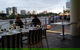 Jellyfish Restaurant - thumb 1