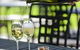 Reillys Cellar Door And Restaurant - thumb 2