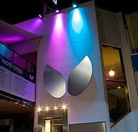 Society Bar  Nightspot - Internet Find