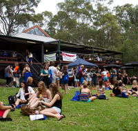 Bar on the Hill - Internet Find