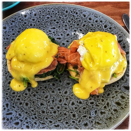 Pacific Pines QLD Internet Find