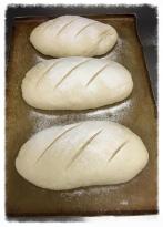 LakeFront Bistro - Internet Find 4