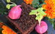 The Allotment Cafe - thumb 1