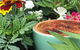 The Allotment Cafe - thumb 2