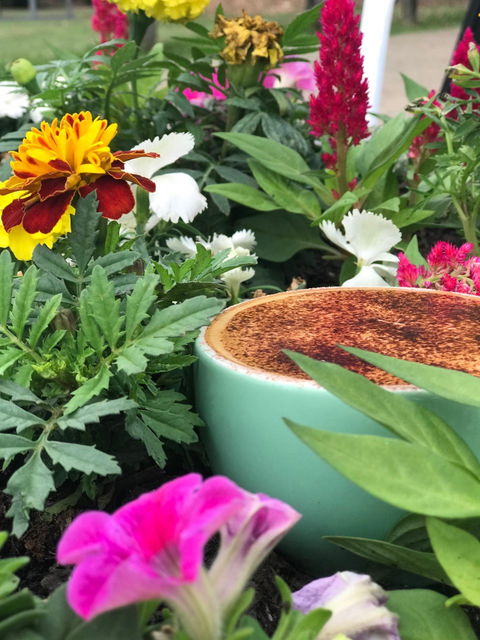 The Allotment Cafe - Internet Find 2