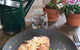 The Allotment Cafe - thumb 5