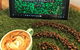 The Allotment Cafe - thumb 6
