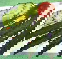 Curry Muncher Pacific Pines - Internet Find