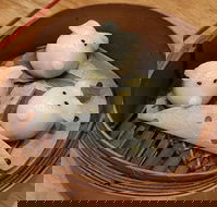 Little Red Dumpling - Internet Find