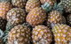 Rusty's Market - thumb 1