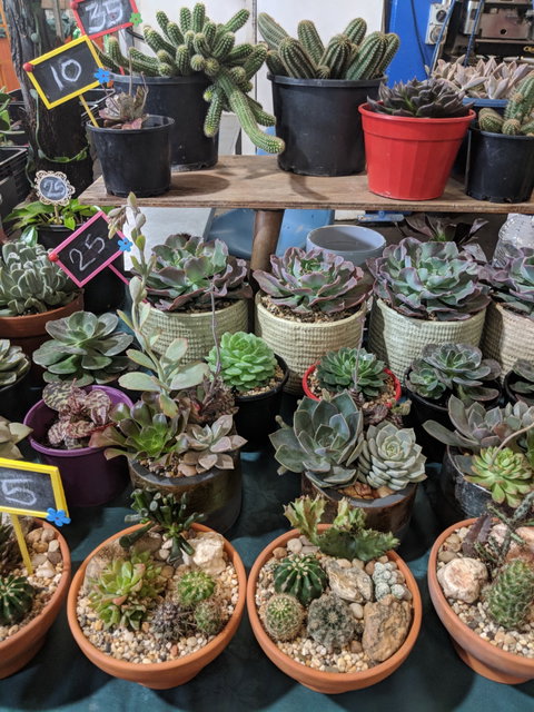 Rusty's Market - Internet Find 2
