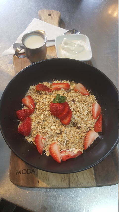 Wild Bean Cafe - Internet Find 6