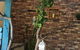 Woodbox Cafe - thumb 3