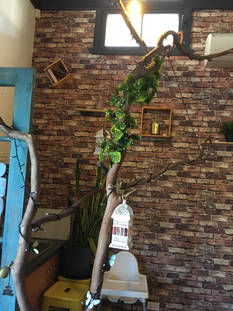 Woodbox Cafe - Internet Find 6