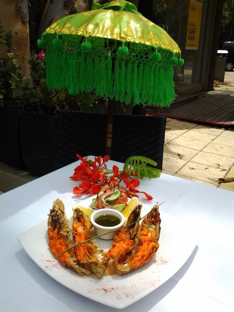 Kaali Gourmet Indian Restaurant - Internet Find 1