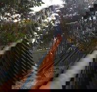 Nomads Noosa - Internet Find