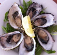 Noosa Yacht and Rowing Club - Internet Find