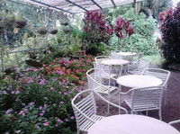 The Cafe Bellenden Ker
