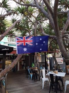 Coffee Cat On Kings Beach - Internet Find 2