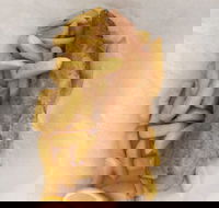 Smashed Crab Seafoods - Internet Find