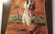Abyssinia Cafe & Restaurant - thumb 1