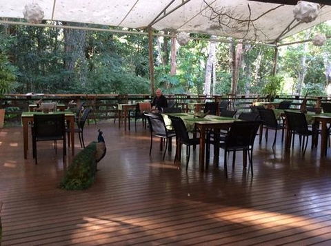 The Restaurant At Cedar Park - Internet Find 0
