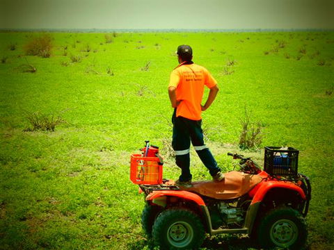 Triple P Contracting - Internet Find 1