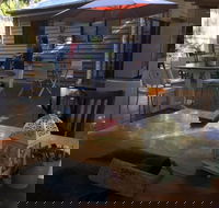Cedrus Tree Cafe - Internet Find