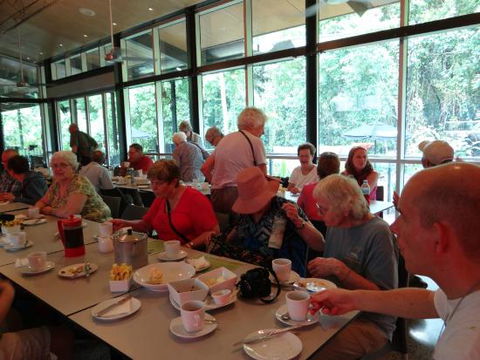 Mayi Cafe - Internet Find 0