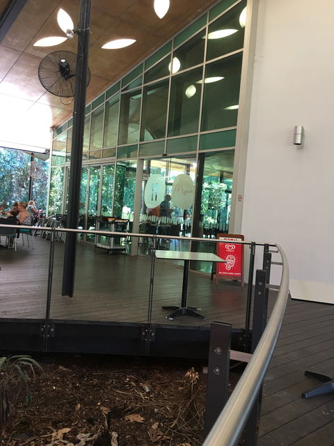 Mayi Cafe - Internet Find 4