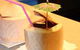 Sala Thai - thumb 1
