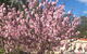 Spring Bluff Cafe - thumb 1