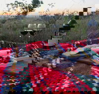 Bunnyconnellen Olive Grove  Vineyard - Internet Find