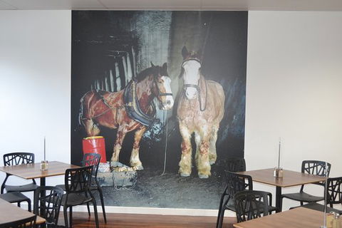 Pit Pony Hotel - Internet Find 0