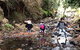 Rainforest - thumb 4