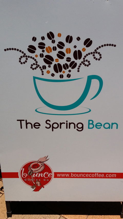 The Spring Bean - Internet Find 3