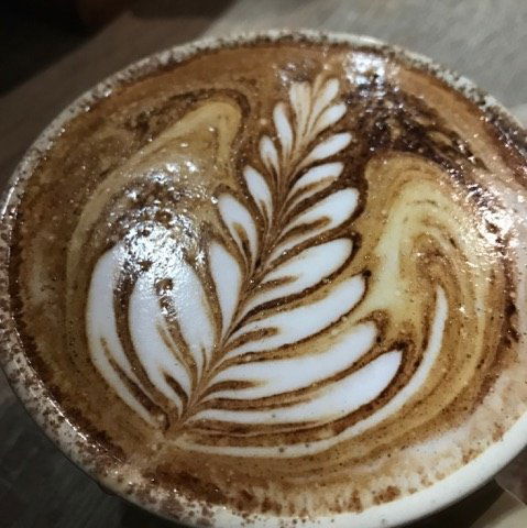 The Spring Bean - Internet Find 4