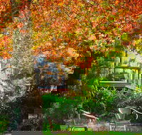 The Woods Ravensbourne - Internet Find
