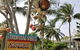 Tropical Vibes - thumb 0