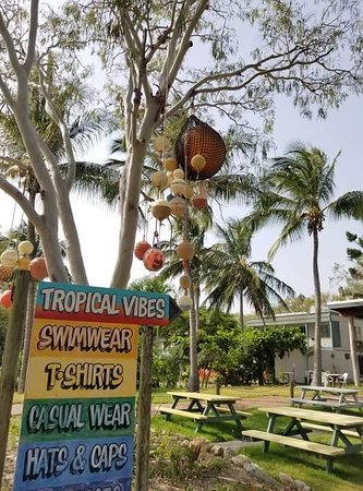 Tropical Vibes - Internet Find 0