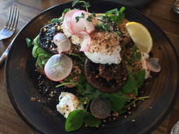 Business in Oakleigh VIC Internet Find Internet Find