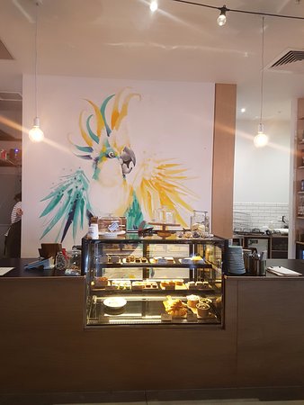Warralily Cockatoo - Internet Find 0
