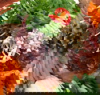 Don't Tell Mama Shh - Internet Find