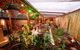 Blue Bamboo Restaurant And Cafe - thumb 0